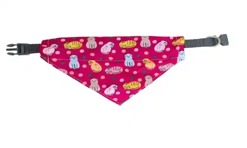 Accesorio para mascotas