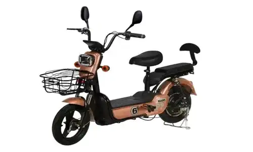 Bici/Moto Eléctrica