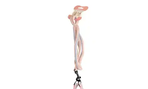 Accesorio de higiene para mascotas