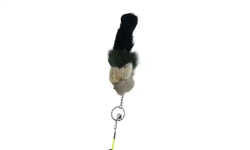 Accesorio para mascotas