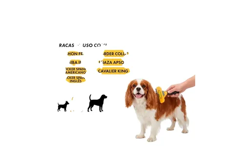 Accesorio para mascotas
