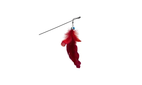 Accesorio para Mascotas