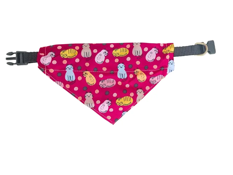Accesorio para mascotas