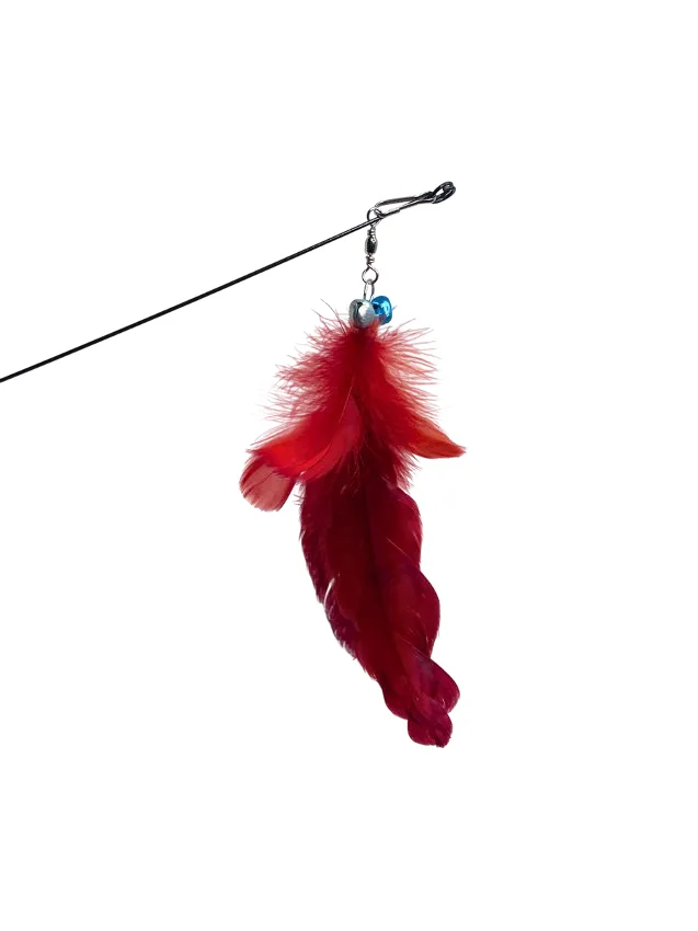 Accesorio para Mascotas